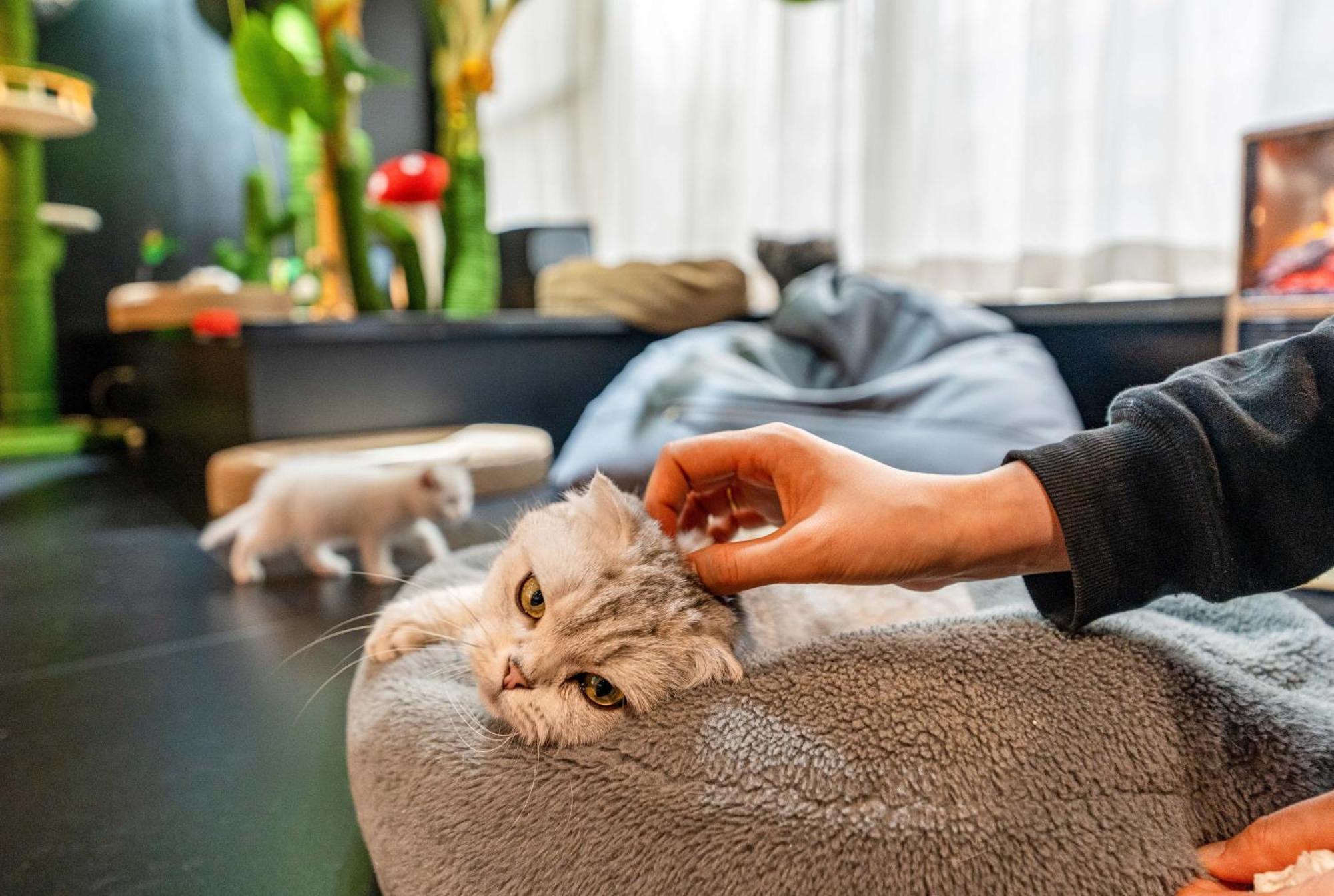 Hesu Designer Hotel & Suites -Near Xi'An Drum Tower And Yongning Gate -Free Laundry Luggage Storage -Kitty Cafe With Freshly Ground Coffee -24H Front Desk -English Service -Exclusive Subsidies For Dumpling Banquet & Show Exterior photo